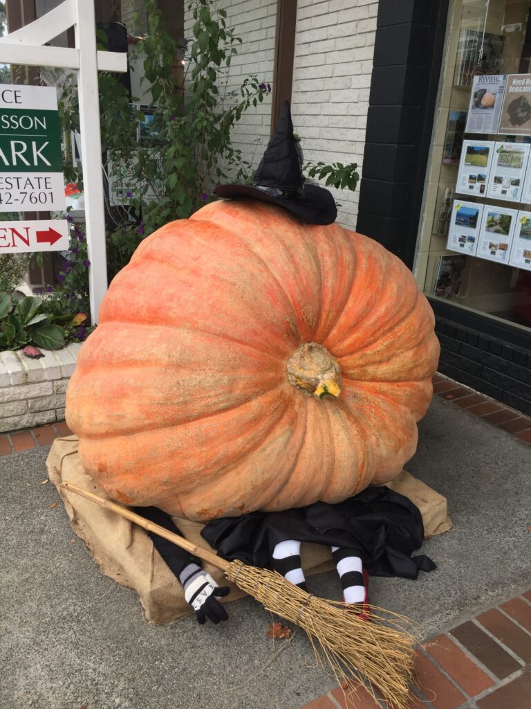 シアトル観光でみたかぼちゃ